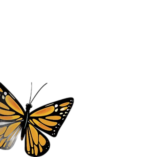 animal, creature, crown, flower transparent PNG cut-out