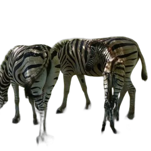 animal, creature, furniture, 3d render transparent PNG cut-out
