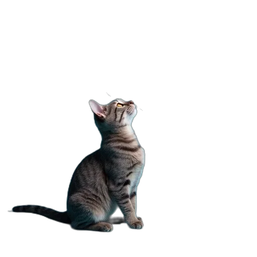 animal, staff, creature, robot transparent PNG cut-out