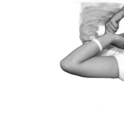 photorealistic, black, white, photo transparent PNG cut-out