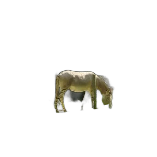 animal, creature, hair, furniture transparent PNG cut-out