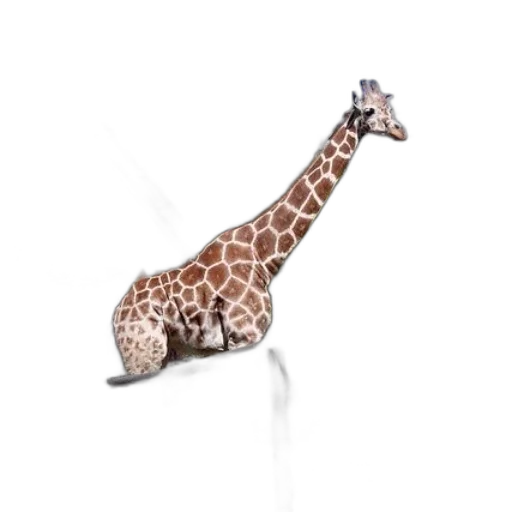 animal, creature, staff, weapon transparent PNG cut-out