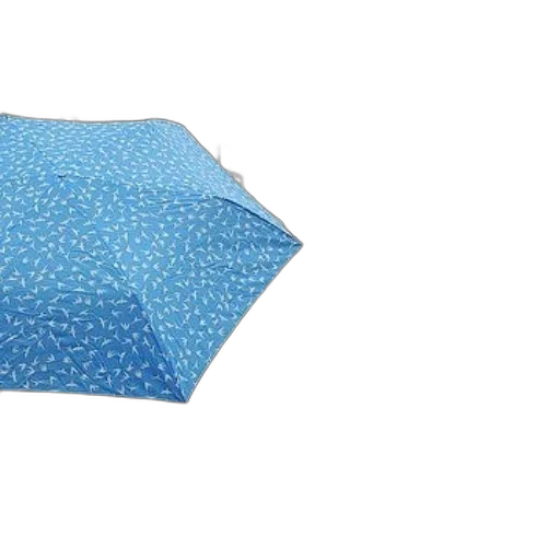 umbrella, hat, jacket, dress transparent PNG cut-out