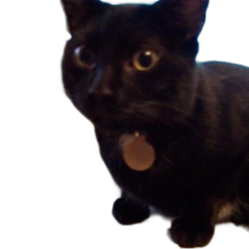 animal, staff, creature, robot transparent PNG cut-out