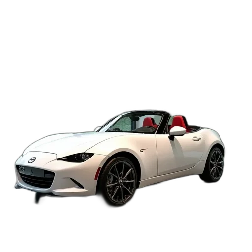 car, animal, 3d render, photorealistic transparent PNG cut-out
