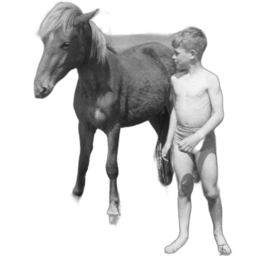 animal, creature, weapon, staff transparent PNG cut-out