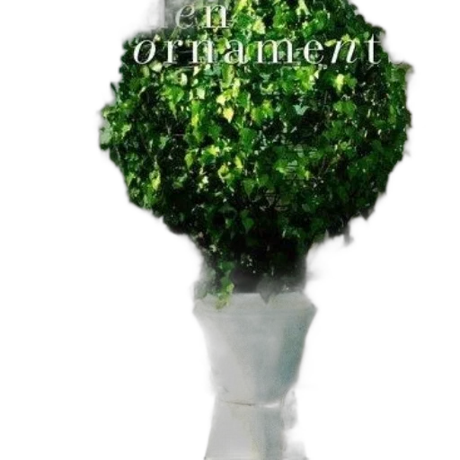 tree, crown, furniture, flower transparent PNG cut-out