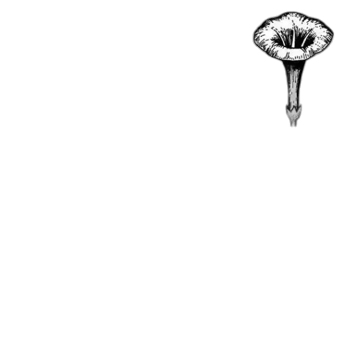 umbrella, flower, crown, staff transparent PNG cut-out