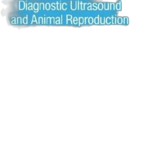 animal, cover, diagnostic, ultrasound transparent PNG cut-out