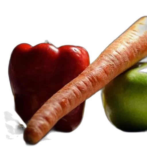 food, animal, weapon, creature transparent PNG cut-out