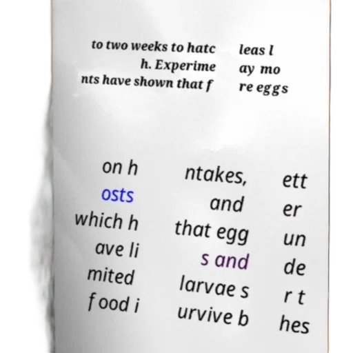 food, dress, bottle, text-based transparent PNG cut-out