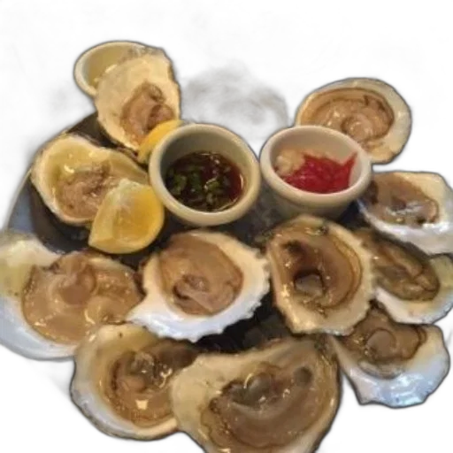 food, plate, fresh, oysters transparent PNG cut-out