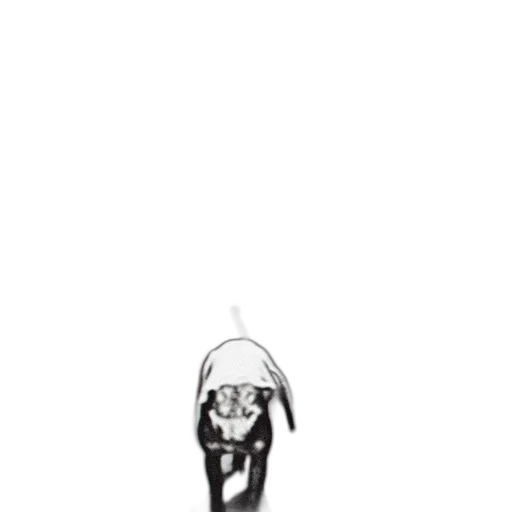 mask, hat, staff, creature transparent PNG cut-out