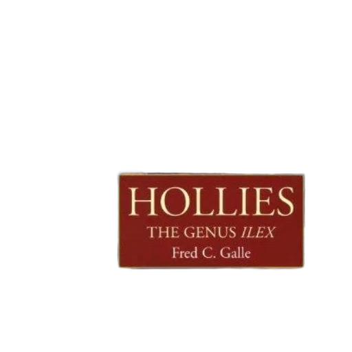 staff, cover, hollies, genus transparent PNG cut-out