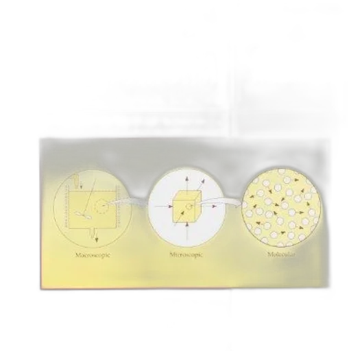 jewelry, golden, transport, phenomena transparent PNG cut-out