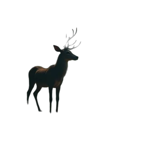 animal, crown, creature, staff transparent PNG cut-out