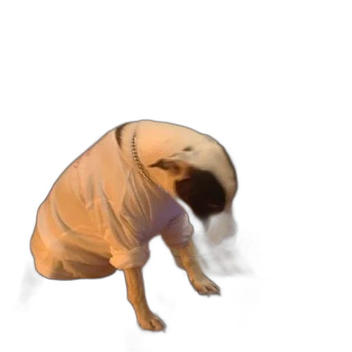 creature, animal, dress, mask transparent PNG cut-out