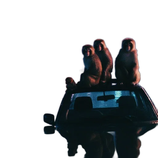 car, animal, crown, jacket transparent PNG cut-out