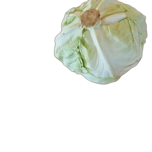 umbrella, jacket, crown, mask transparent PNG cut-out