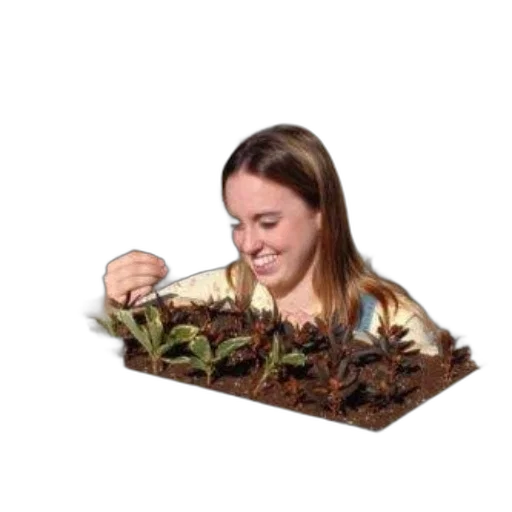 staff, creature, crown, food transparent PNG cut-out