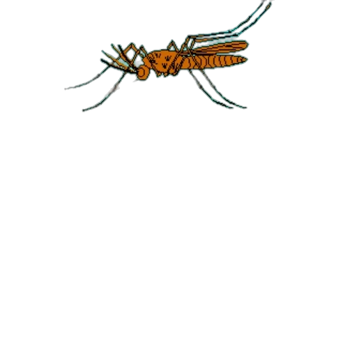 animal, creature, staff, dragon transparent PNG cut-out
