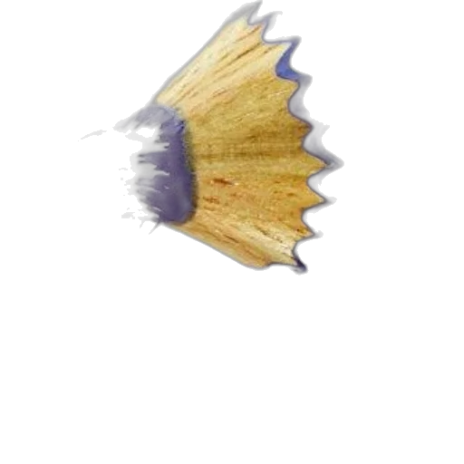 hair, umbrella, flower, crown transparent PNG cut-out