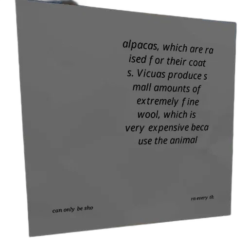 food, weapon, sword, face transparent PNG cut-out