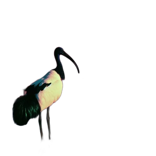 animal, creature, staff, jewelry transparent PNG cut-out