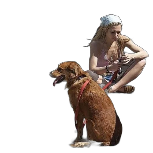 animal, hat, creature, photorealistic transparent PNG cut-out