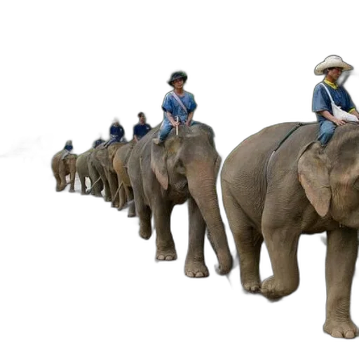 animal, staff, hat, umbrella transparent PNG cut-out