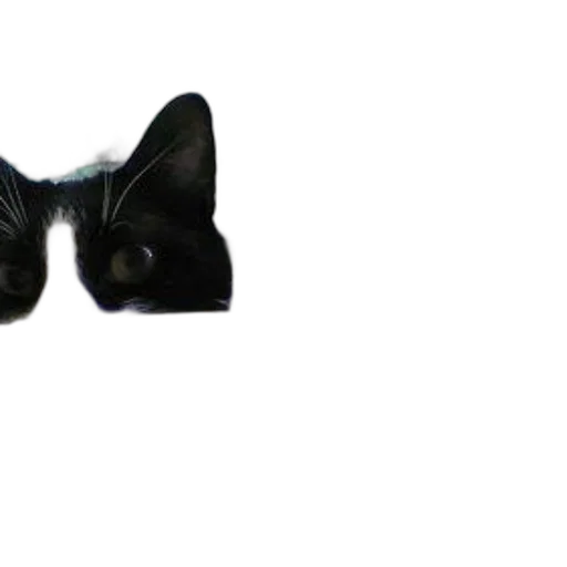 mask, staff, animal, hat transparent PNG cut-out