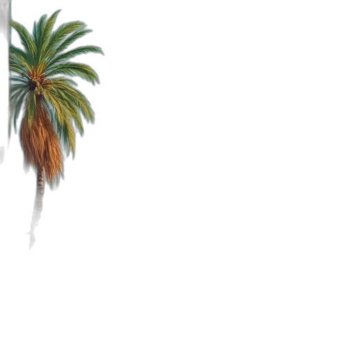 tree, umbrella, hair, weapon transparent PNG cut-out