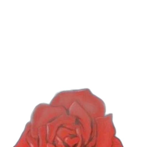 flower, crown, jewelry, face transparent PNG cut-out