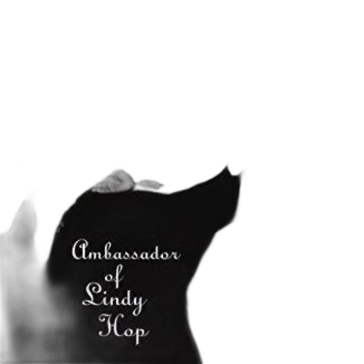 black, white, image, two transparent PNG cut-out