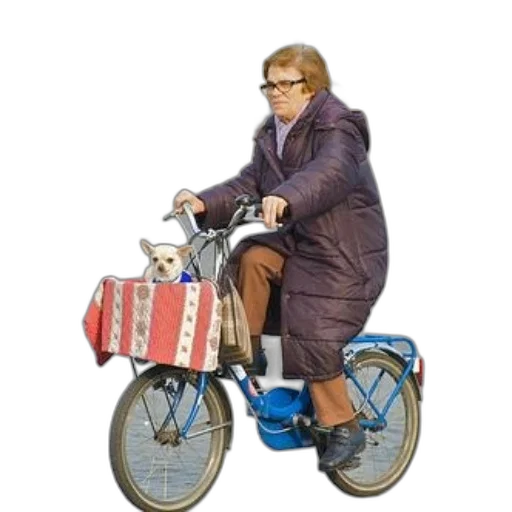 jacket, animal, car, concept art transparent PNG cut-out
