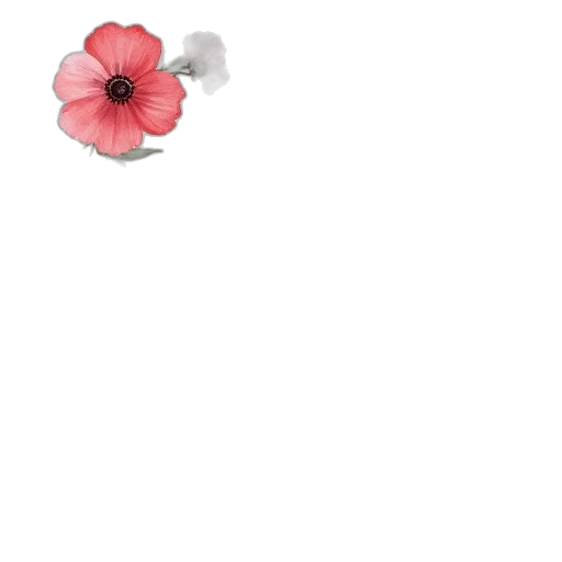 flower, weapon, dress, hat transparent PNG cut-out