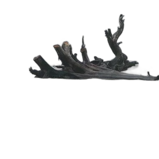 crown, tree, furniture, staff transparent PNG cut-out