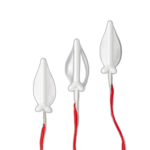 staff, weapon, umbrella, crown transparent PNG cut-out