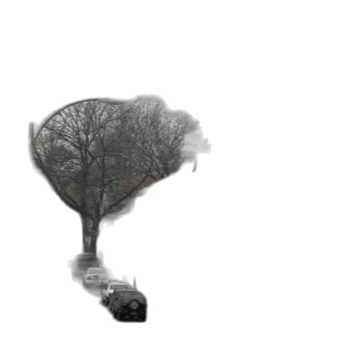 tree, umbrella, robot, creature transparent PNG cut-out