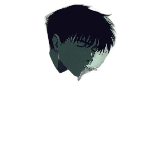 face, mask, creature, hair transparent PNG cut-out