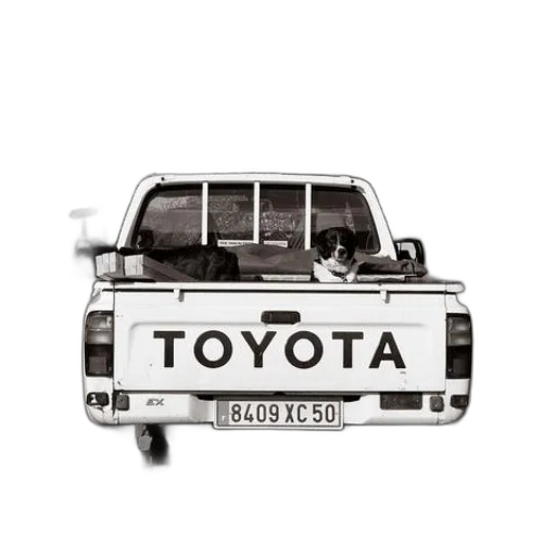 car, staff, photorealistic, black transparent PNG cut-out