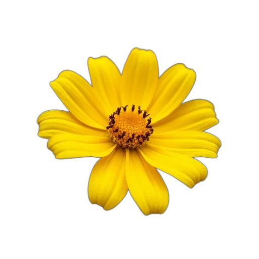 flower, crown, jewelry, staff transparent PNG cut-out