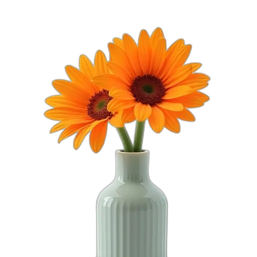 bottle, flower, crown, photorealistic transparent PNG cut-out