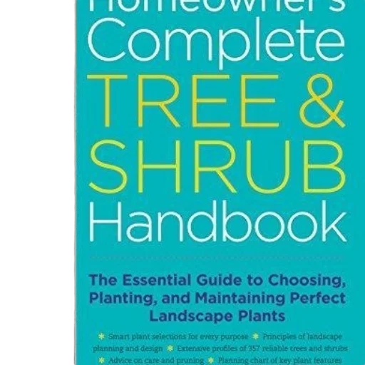 tree, homeowners, complete, shrub transparent PNG cut-out