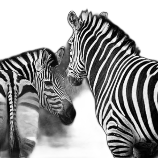 animal, creature, photorealistic, monochrome transparent PNG cut-out