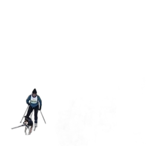 staff, robot, animal, sword transparent PNG cut-out