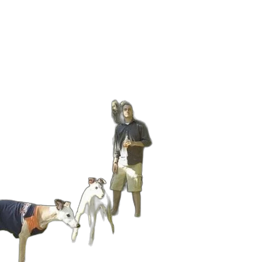 animal, creature, staff, weapon transparent PNG cut-out