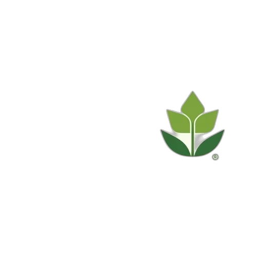 flower, pixel art, 3d render, green transparent PNG cut-out