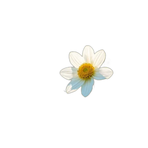 flower, jewelry, crown, weapon transparent PNG cut-out