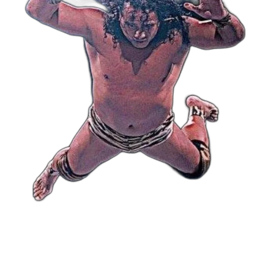 animal, creature, jewelry, staff transparent PNG cut-out